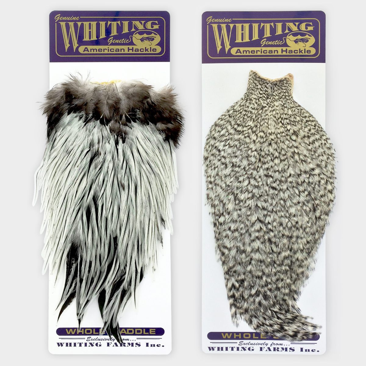 American Hackle Whole Cape